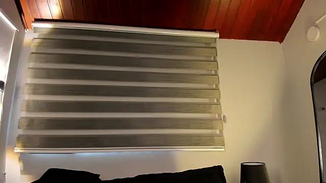 MERIDA_TAYLOR webcam