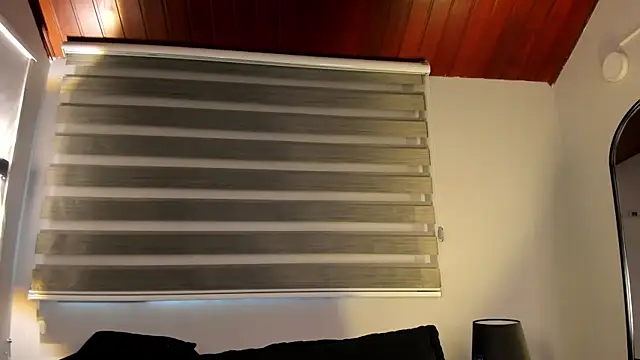 MERIDA_TAYLOR webcam