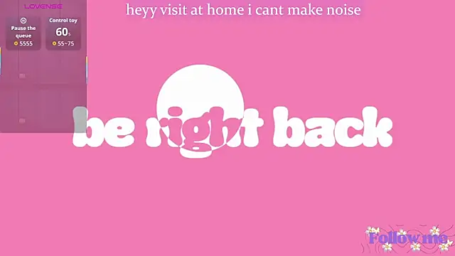 milita_houston webcam