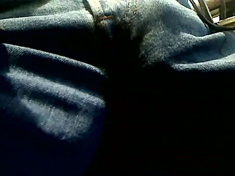 markluvskitty webcam