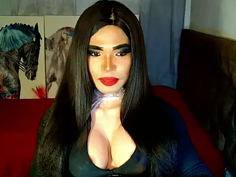 terra_HORSECOCK webcam