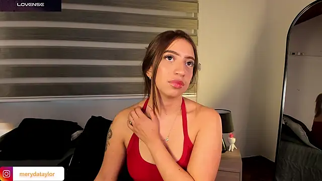 MERIDA_TAYLOR webcam