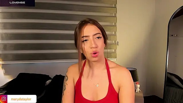 MERIDA_TAYLOR webcam