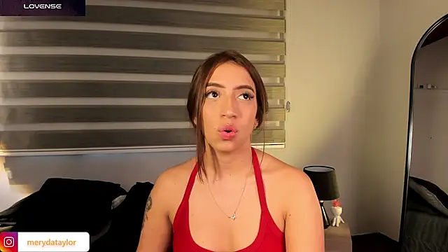 MERIDA_TAYLOR webcam