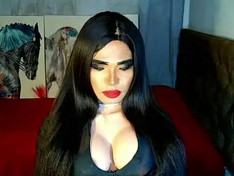 terra_HORSECOCK webcam