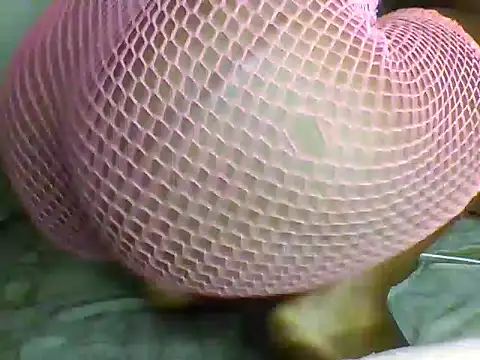 morongwacaroline - Morongwacaroline's free webcam - UK Sex Cams