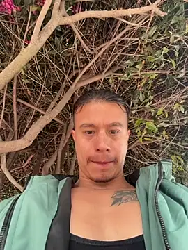 DominickVegas webcam