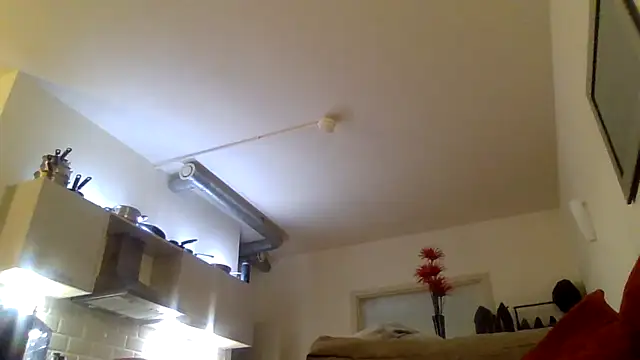 cheekycherryx webcam