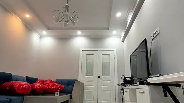 SupremeDividend webcam