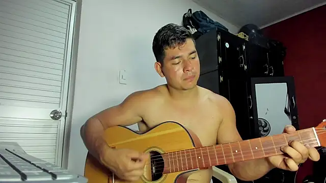 VincentSavage webcam