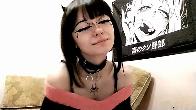 SmilingPatent webcam