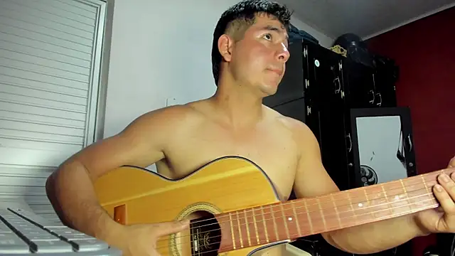 VincentSavage webcam