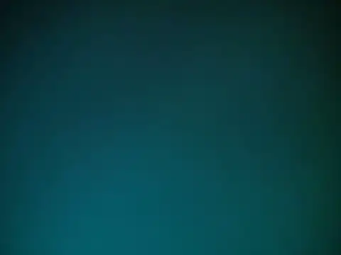 VitaminDrewFl webcam