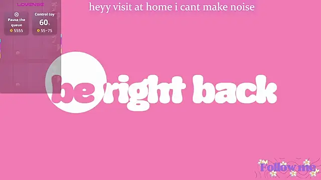 milita_houston webcam