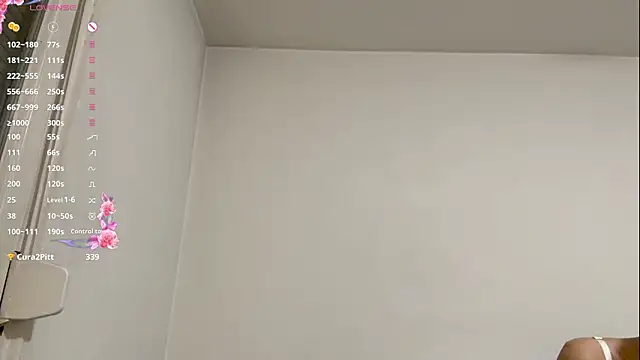 MaydaCornwall webcam