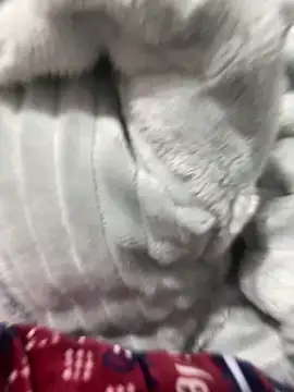 Dondeloquieras4 webcam