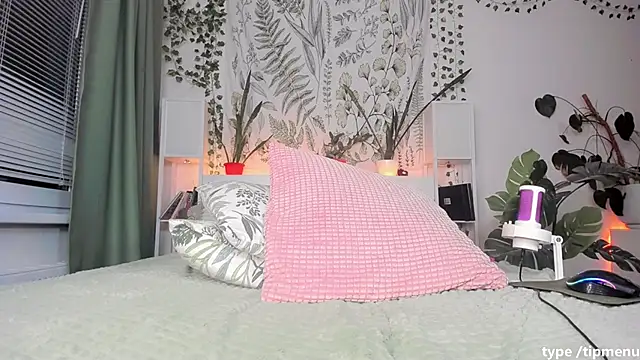 sierra_diamond webcam