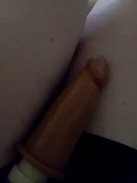 Ppkrosa_casadaaa webcam