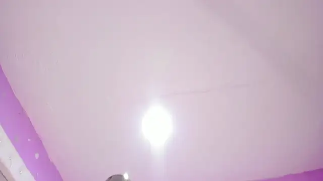 rousse_millers webcam