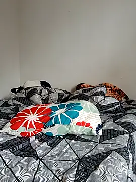 LEIRIS_Y_FRED_01 webcam