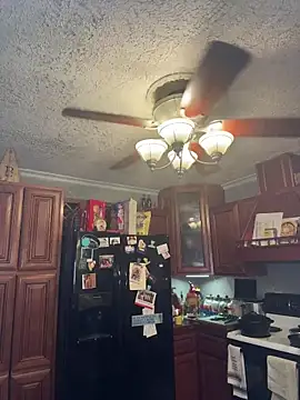 Integrityofsin webcam