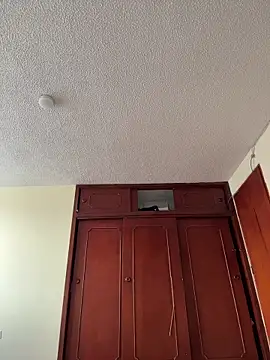 Scarlet_fiire webcam