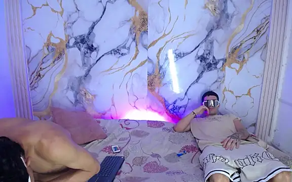 Damian_and_theo webcam