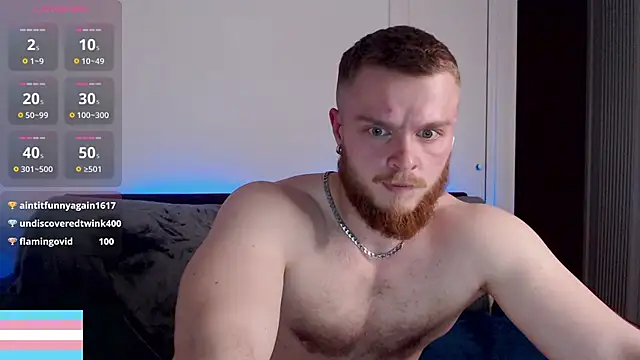 VictorTransMan webcam