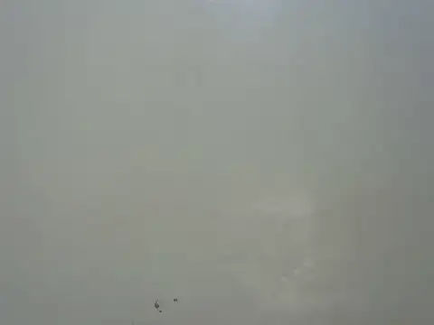 Rasta_tattooed webcam