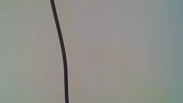 bonniedreams_18 webcam