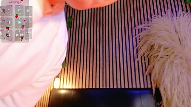 Hiddenhotcake webcam