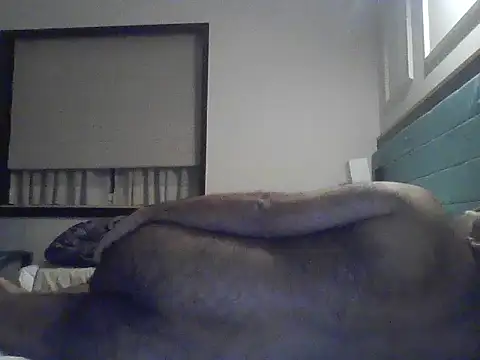 rarindam17 webcam