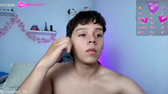 nico_leroy webcam