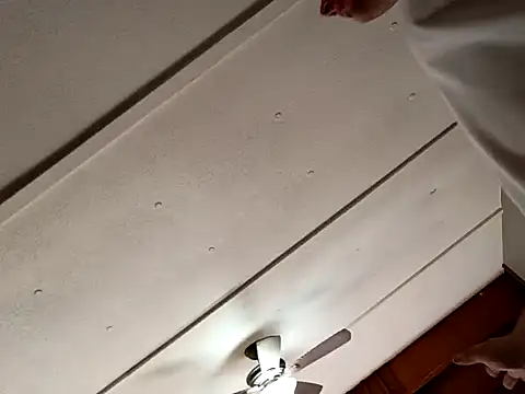 Preview of joshingexegesis