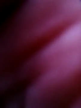 Hrnyallthetime webcam