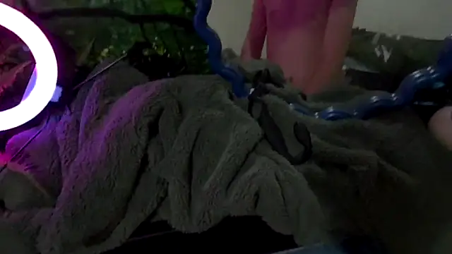 welcome-to-the-jungle webcam