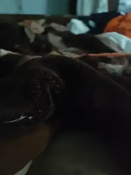 amirMohamed58 webcam