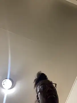 Sinfulwaterfalls webcam