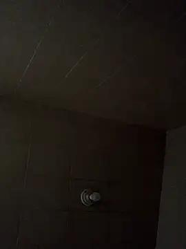 destroassbig2 webcam