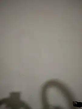 hotandfierylatinos2023 webcam