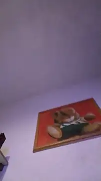 Knuffelstaaff123 webcam