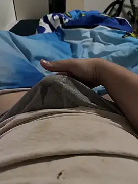 paulderbreite webcam