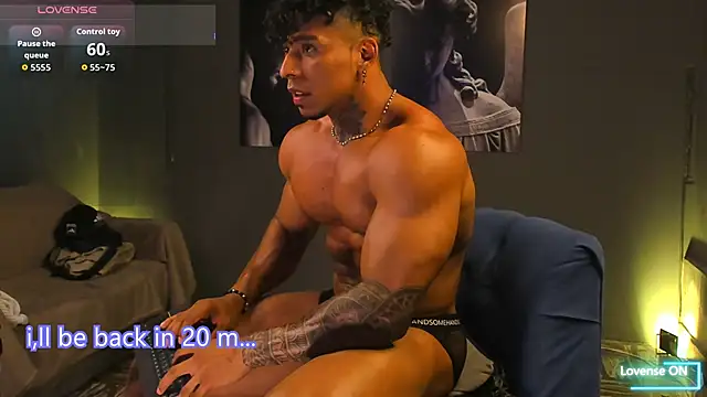 bradley_smith webcam