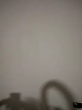 hotandfierylatinos2023 webcam