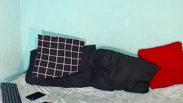 Ariatnaanddilan webcam