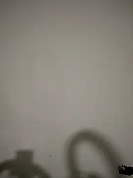 hotandfierylatinos2023 webcam