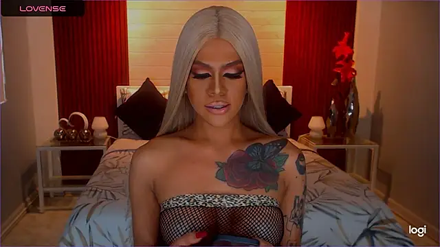 StellaStrong30 webcam