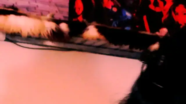 indian_dreamgirl webcam