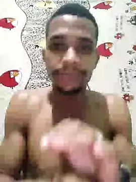 LATREL22ctmtrs webcam