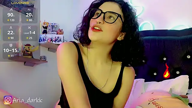 AriaDark webcam
